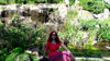 Insel Camellia