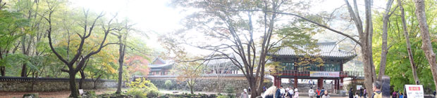 Berg Tempel / Mountain Temple