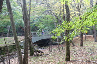 Romantisch / Romantic