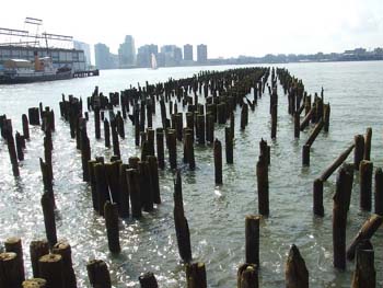 A beautiful summer day at the harbor