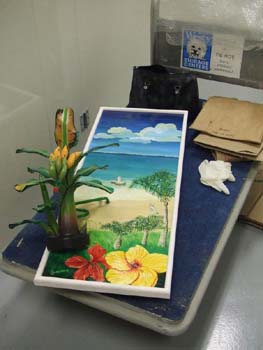 Island Princess – unwrapped.