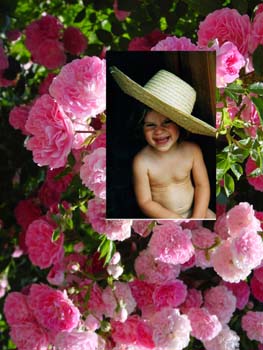 GARTENZAUBER mit Andrea’s Gartentipps. Foto: Andrea Pollak