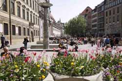 Summer in the City. Foto: Sigi M�ller