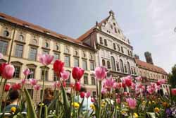 Summer in the City. Foto: Sigi M�ller